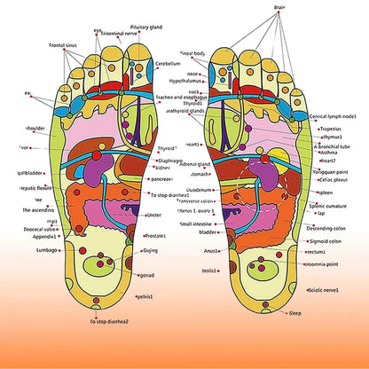 TaviMart™🦶 Acupressure & Magnetic Therapy Slippers 💥 Boost Blood Circulation & Relieve Pain for Men & Women 👣